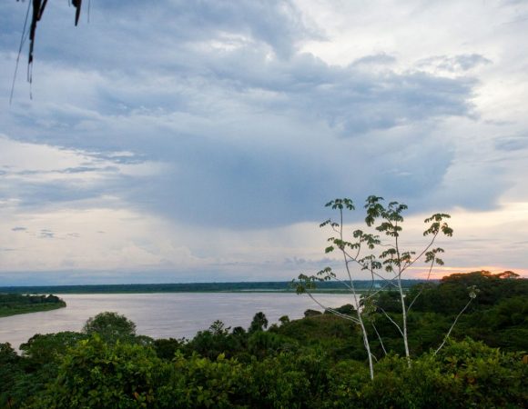 Reserva Pacaya Samiria 5 Días y 4 Noches