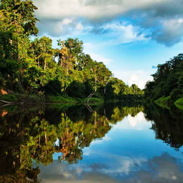 Santuario Nacional Megantoni