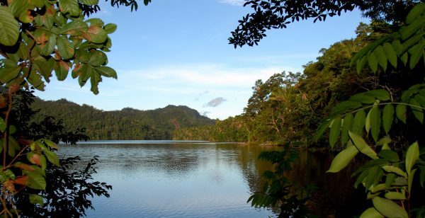 Parque Nacional Cordillera Azul: El corazón verde del Perú