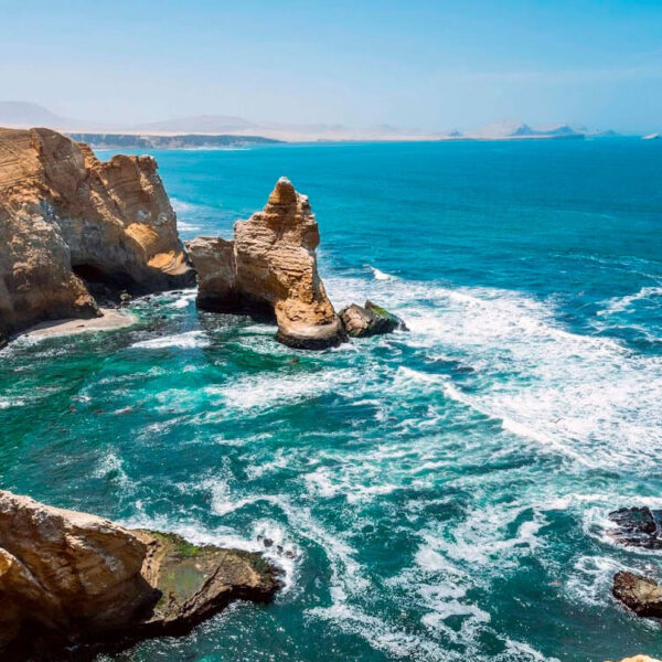 Reserva Nacional de Paracas: Donde el desierto abraza el mar