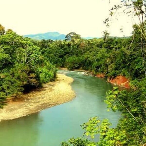 Parque Nacional Bahuaja Sonene