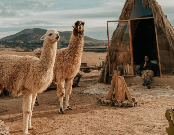Mountain View Experiences: La ventana secreta al Valle Sagrado