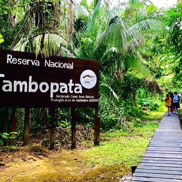 Reserva Nacional de Tambopata: El pulso vibrante de la selva Amazónica