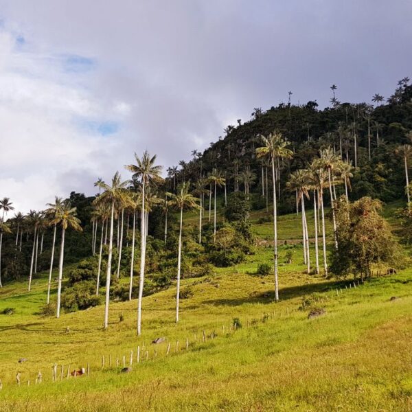 Parque Nacional de Cutervo: El enigma natural de Cajamarca