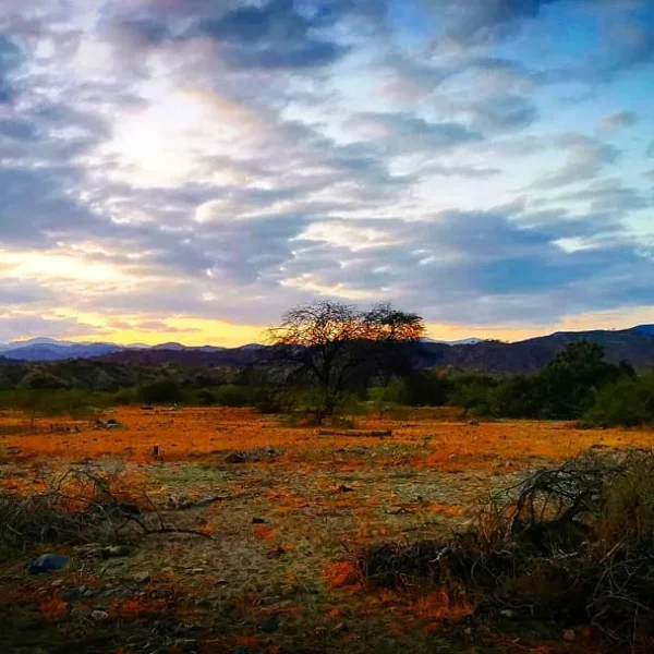 Parque Nacional Cerros de Amotape