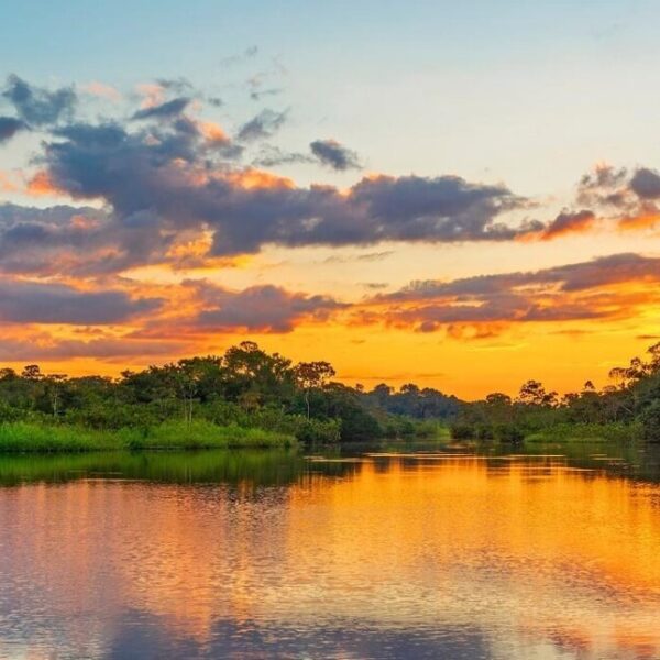 Parque Nacional del Manú: El corazón de la Amazonía
