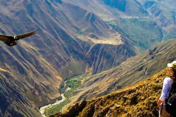 El Mirador de Chonta: Un Vistazo a la Naturaleza